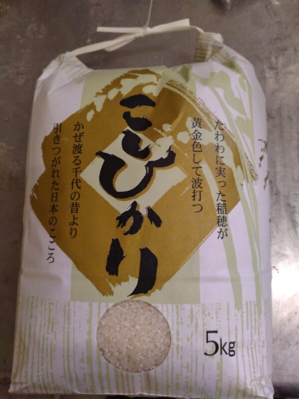 コシヒカリ